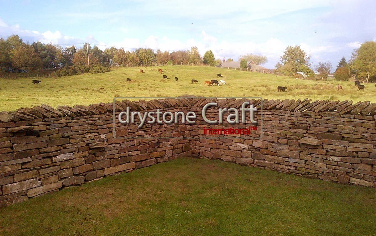 Livestock dry stone wall lancashire