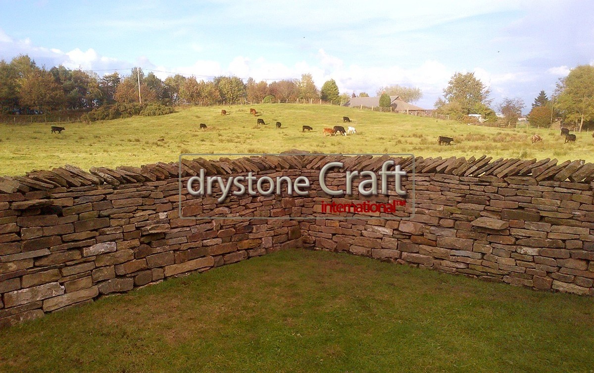 Livestock dry stone wall lancashire