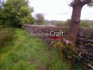 heritage dry stone wall restoration 67 metres gritstone hb